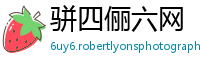 骈四俪六网